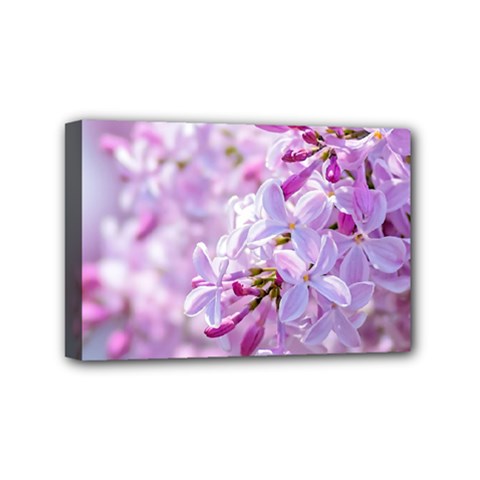 Pink Lilac Flowers Mini Canvas 6  X 4  by FunnyCow