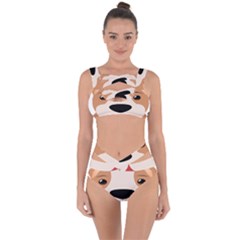 Dog Animal Boxer Family House Pet Bandaged Up Bikini Set  by Sapixe