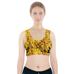 Birch Tree Yellow Leaves Sports Bra With Pocket by FunnyCow