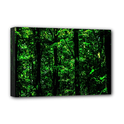 Emerald Forest Deluxe Canvas 18  X 12   by FunnyCow
