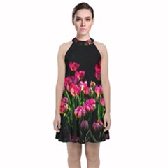 Pink Tulips Dark Background Velvet Halter Neckline Dress  by FunnyCow