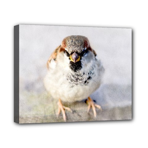 Do Not Mess With Sparrows Canvas 10  X 8  by FunnyCow