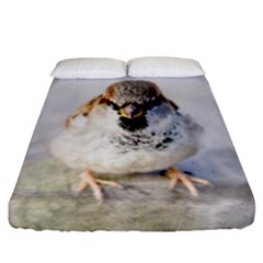 Do Not Mess With Sparrows Fitted Sheet (california King Size) by FunnyCow