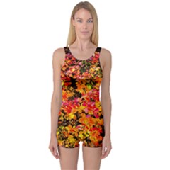 Orange, Yellow Cotoneaster Leaves In Autumn One Piece Boyleg Swimsuit by FunnyCow