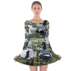 Muscovy Ducks At The Pond Long Sleeve Skater Dress by IIPhotographyAndDesigns