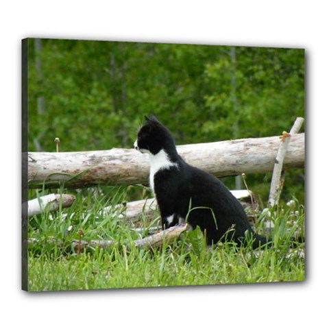 Farm Cat Canvas 24  X 20  by IIPhotographyAndDesigns