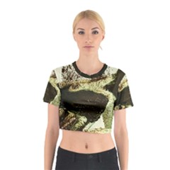 There Is No Promissed Rain 3jpg Cotton Crop Top by bestdesignintheworld