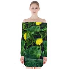 Yellow Dandelion Flowers In Spring Long Sleeve Off Shoulder Dress by FunnyCow