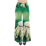 Dandelion Flower Green Chief So Vintage Palazzo Pants