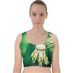 Dandelion Flower Green Chief Velvet Racer Back Crop Top