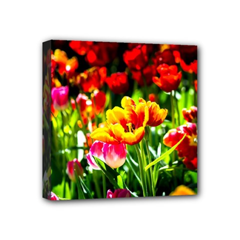 Colorful Tulips On A Sunny Day Mini Canvas 4  X 4  by FunnyCow
