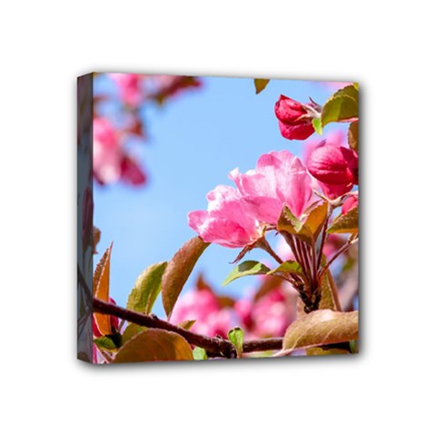 Crab Apple Blossoms Mini Canvas 4  X 4  by FunnyCow