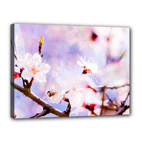 Pink Sakura Purple Background Canvas 16  X 12  by FunnyCow