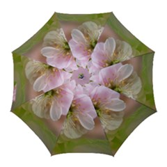 Single Almond Flower Golf Umbrellas by FunnyCow