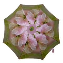 Single Almond Flower Hook Handle Umbrellas (medium) by FunnyCow