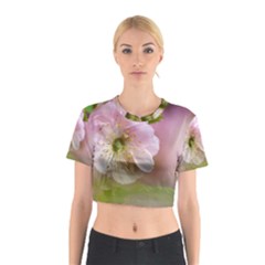 Single Almond Flower Cotton Crop Top by FunnyCow