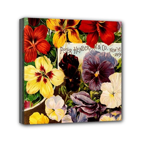 Flowers 1776534 1920 Mini Canvas 6  X 6  (stretched) by vintage2030