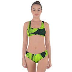 Window Of Opportunity Criss Cross Bikini Set by FunnyCow