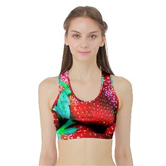 Red Strawberries Sports Bra With Border by FunnyCow