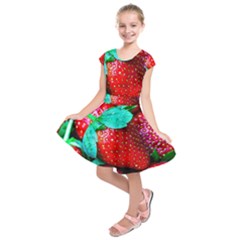 Red Strawberries Kids  Short Sleeve Dress by FunnyCow