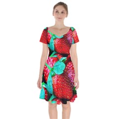 Red Strawberries Short Sleeve Bardot Dress by FunnyCow