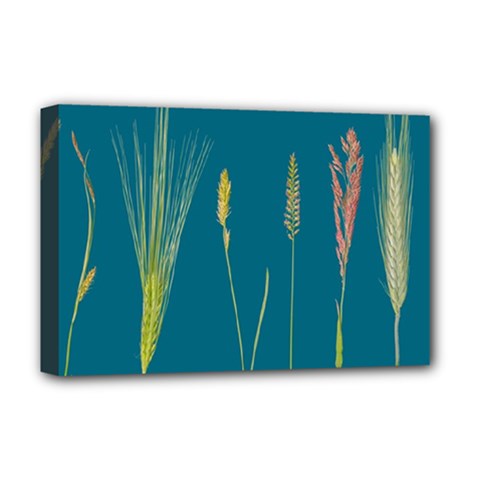 Grass Grasses Blade Of Grass Deluxe Canvas 18  X 12  (stretched)