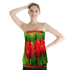 Three Red Tulips, Green Background Strapless Top by FunnyCow