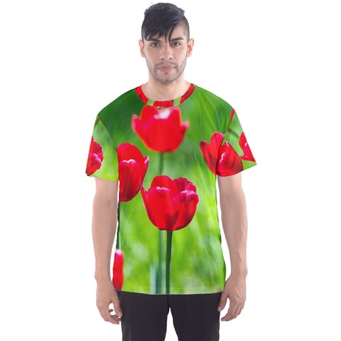 Red Tulip Flowers, Sunny Day Men s Sports Mesh Tee by FunnyCow