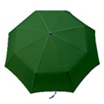 Flag of the Green Mountain Boys Folding Umbrellas