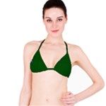 Flag of the Green Mountain Boys Bikini Top