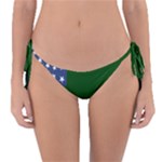 Flag of the Green Mountain Boys Reversible Bikini Bottom