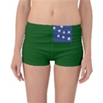 Flag of the Green Mountain Boys Reversible Boyleg Bikini Bottoms