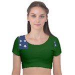 Flag of the Green Mountain Boys Velvet Short Sleeve Crop Top 