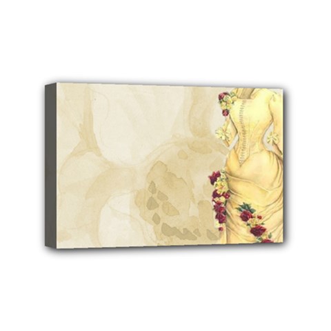 Background 1659622 1920 Mini Canvas 6  X 4  (stretched) by vintage2030
