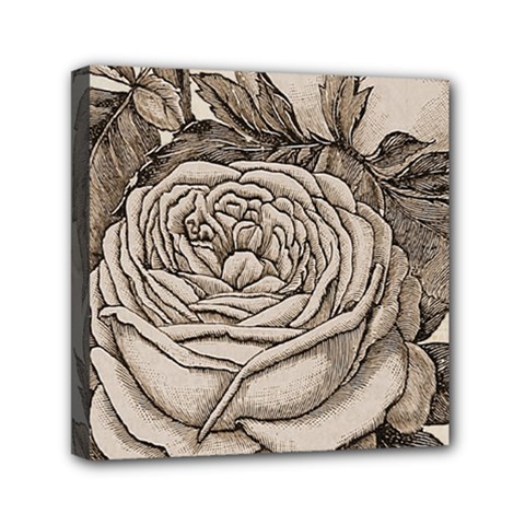 Flowers 1776630 1920 Mini Canvas 6  X 6  (stretched) by vintage2030