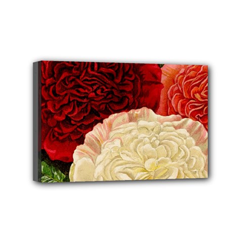 Flowers 1776584 1920 Mini Canvas 6  X 4  (stretched) by vintage2030