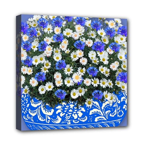 Marguerite Cornflower Vase Blossom Mini Canvas 8  X 8  (stretched) by Simbadda