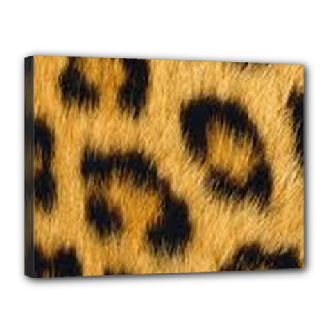 Animal Print Leopard Canvas 16  X 12  (stretched) by NSGLOBALDESIGNS2