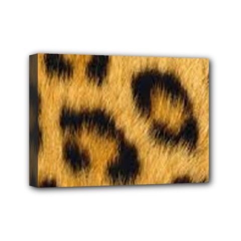 Animal Print Mini Canvas 7  X 5  (stretched) by NSGLOBALDESIGNS2