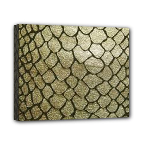Snake Print Canvas 10  X 8  (stretched) by NSGLOBALDESIGNS2