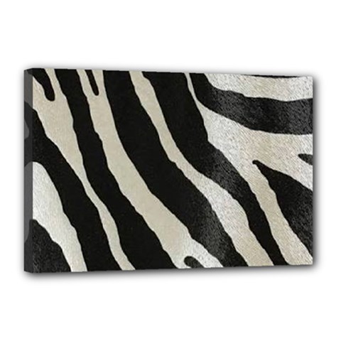 Zebra 2 Print Canvas 18  X 12  (stretched) by NSGLOBALDESIGNS2