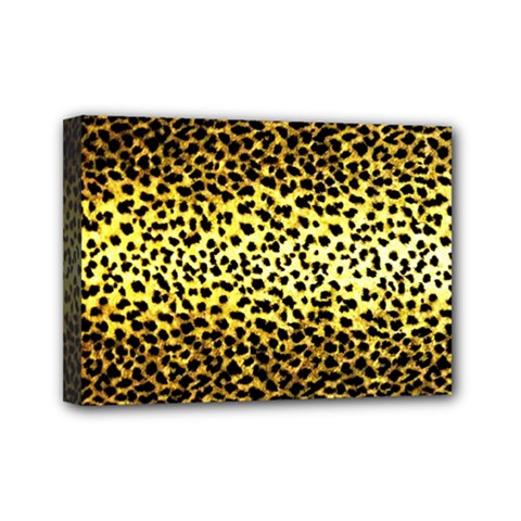 Leopard Version 2 Mini Canvas 7  X 5  (stretched) by dressshop