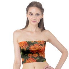 Orange Fall Mums Tube Top