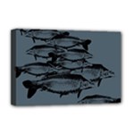 Carp fish Deluxe Canvas 18  x 12  (Stretched)