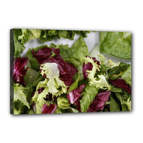 Salad Lettuce Vegetable Canvas 18  X 12  (stretched) by Sapixe