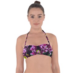 Maroon And White Mums Halter Bandeau Bikini Top by bloomingvinedesign