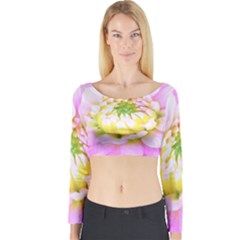 Pretty Pink, White And Yellow Cactus Dahlia Macro Long Sleeve Crop Top by myrubiogarden