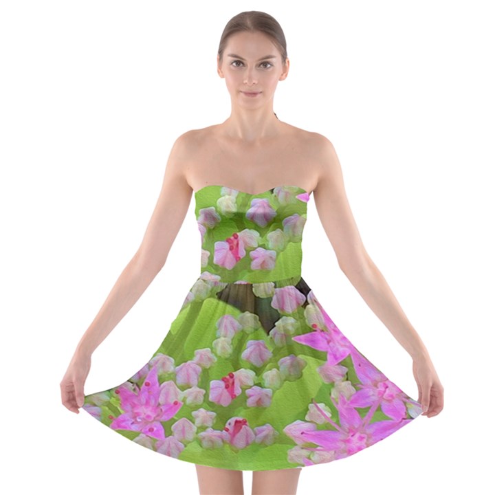 Hot Pink Succulent Sedum With Fleshy Green Leaves Strapless Bra Top Dress