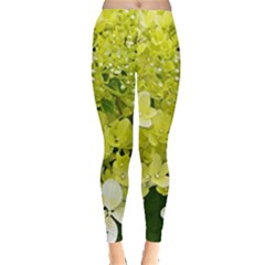 Elegant Chartreuse Green Limelight Hydrangea Macro Leggings  by myrubiogarden