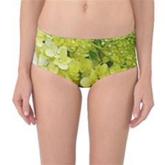 Elegant Chartreuse Green Limelight Hydrangea Macro Mid-waist Bikini Bottoms by myrubiogarden